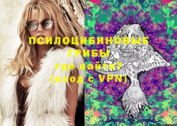 не бодяженный Алзамай
