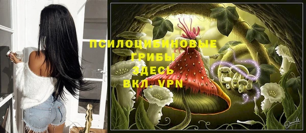 не бодяженный Алзамай